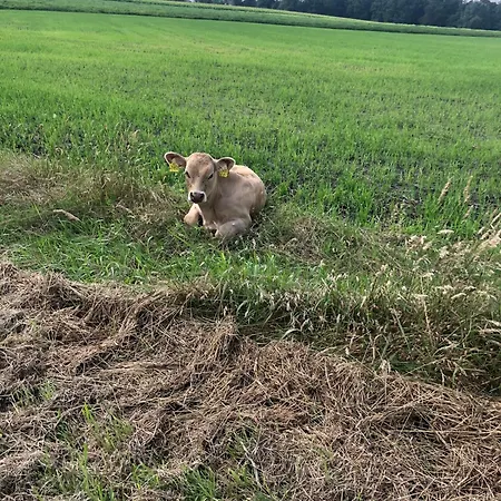 Apartament Idyll - Alleinlage Berge (Lower-Saxony)