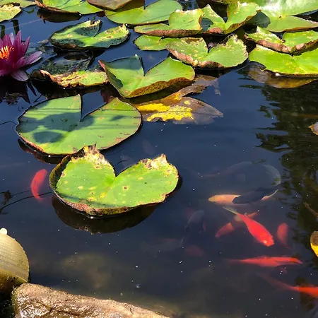 Idyll - Alleinlage דירה *