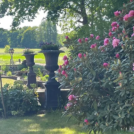 Idyll - Alleinlage * Berge (Lower-Saxony)