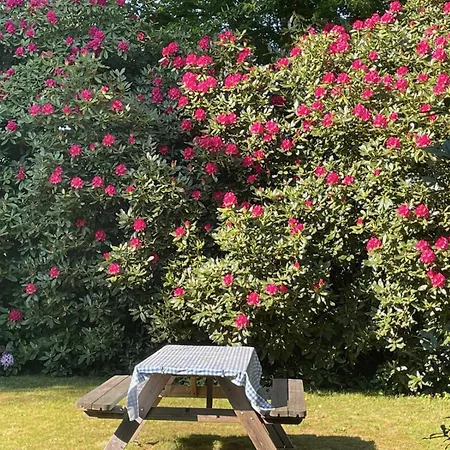 Idyll - Alleinlage דירה