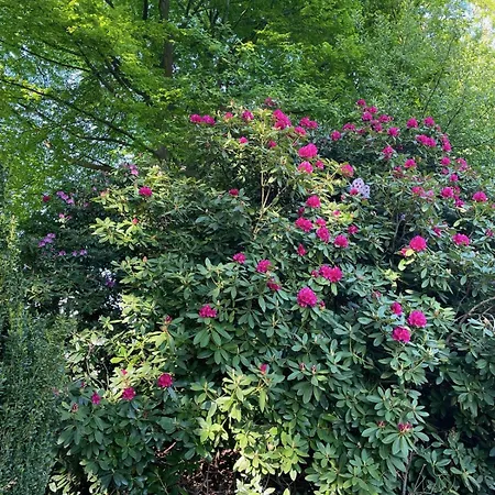 Idyll - Alleinlage דירה Berge (Lower-Saxony)