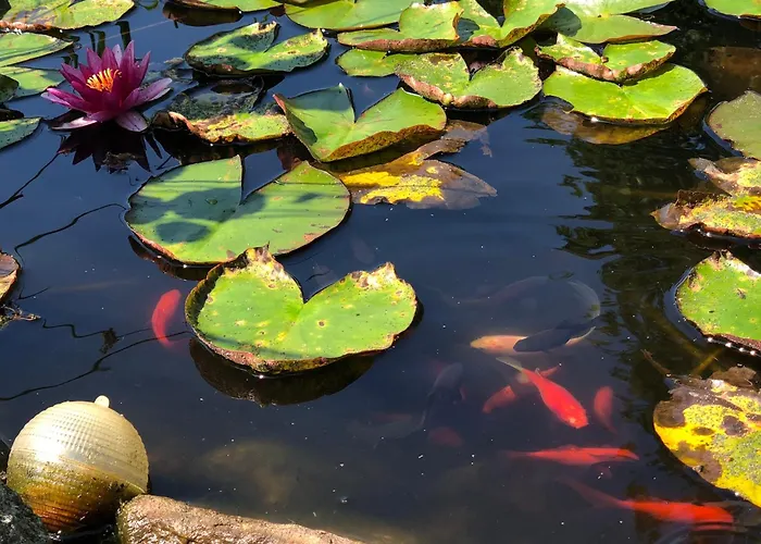 Idyll - Alleinlage Daire *