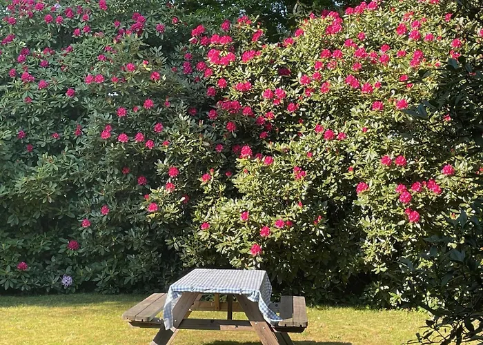 Idyll - Alleinlage Daire