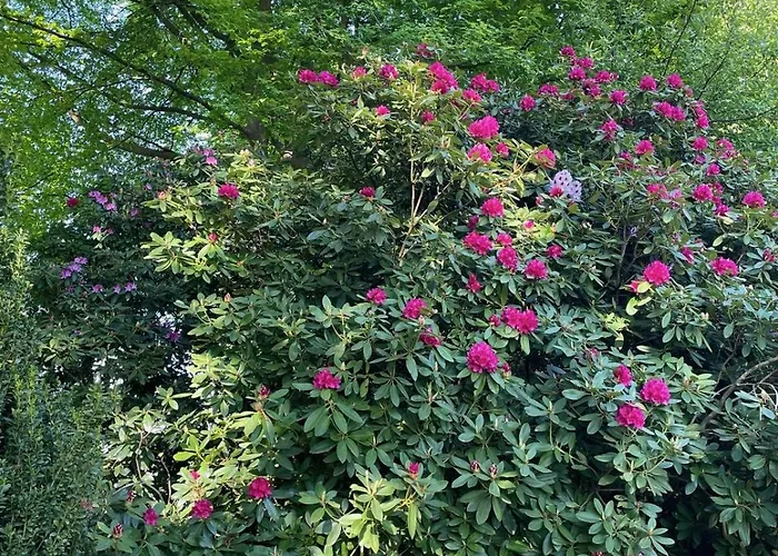 Idyll - Alleinlage Daire Berge (Lower-Saxony)